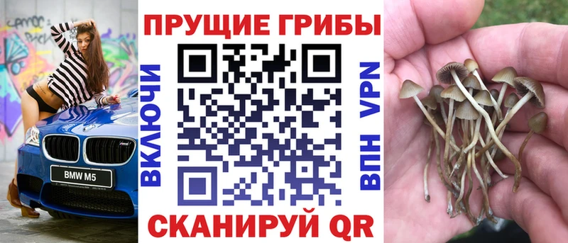 нарко площадка Telegram  где купить   Южно-Сахалинск  Галлюциногенные грибы Cubensis 